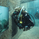 Illustration for article titled The Astonishing Treasures of Underwater Art Galleries